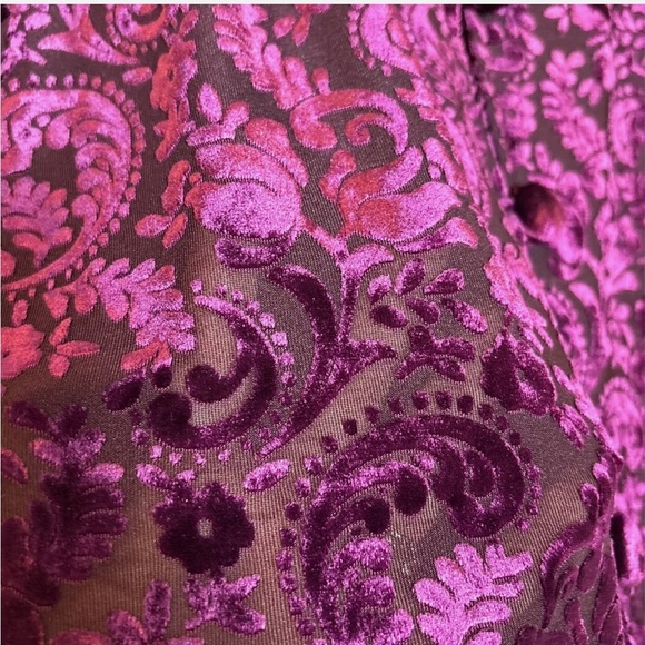 VTG Velvet Burnout Cropped Jacket Plum Semi-sheer 12P Whimsigoth Boho Witchy - Picture 3 of 5
